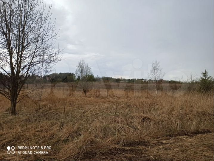 Участок 10 сот. (ИЖС)