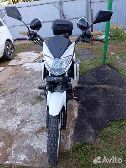 Alpha RS12 Champ 125 куб