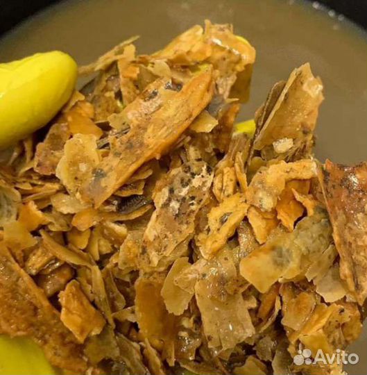 Ремонт бойлеров, стиральных машин и холодильников