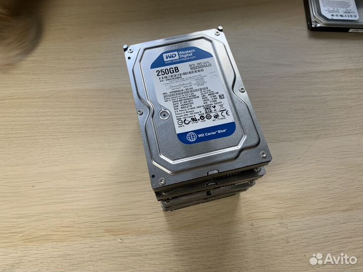 Жесткие диски 250gb