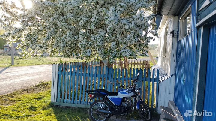 Продам мопед альфа рх 110