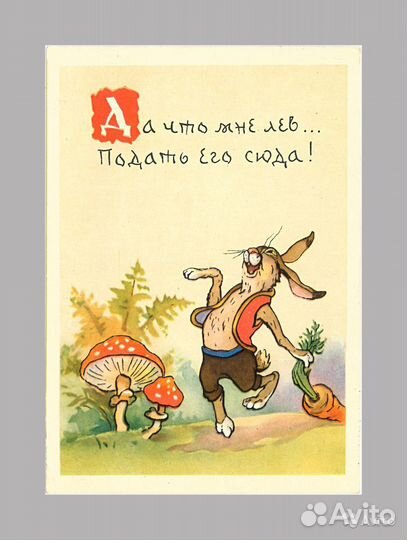 Дружба Тюккель Комаров Зарубин школа Арбеков