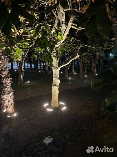 Уличный светильник для деревьев Kongo 12 Вт 30 гра