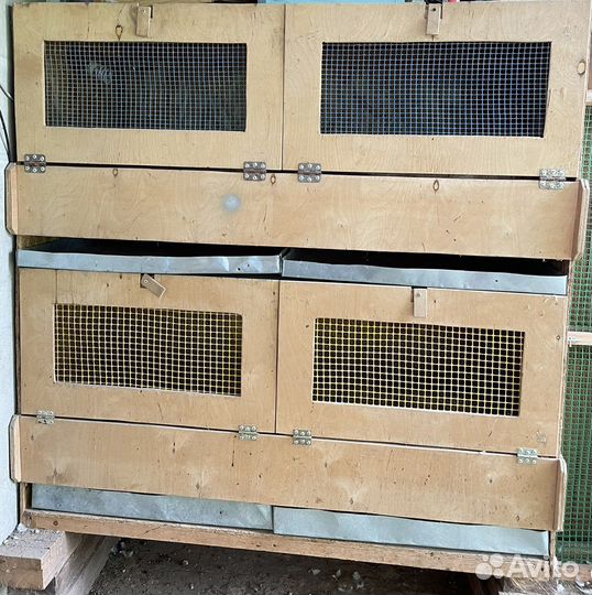 Брудер двухярусный для цыплят, индюшат, птицы б/у