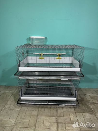 Клетки для кур несушек с яйцесборником