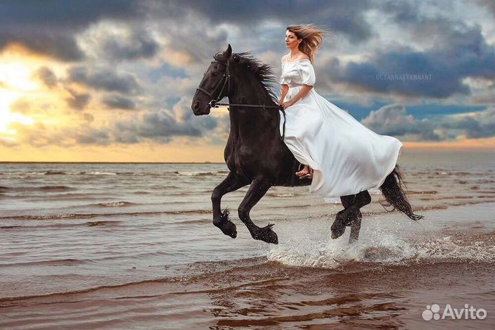 Фотосессия с Фризом