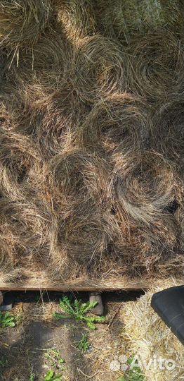 Сено луговое