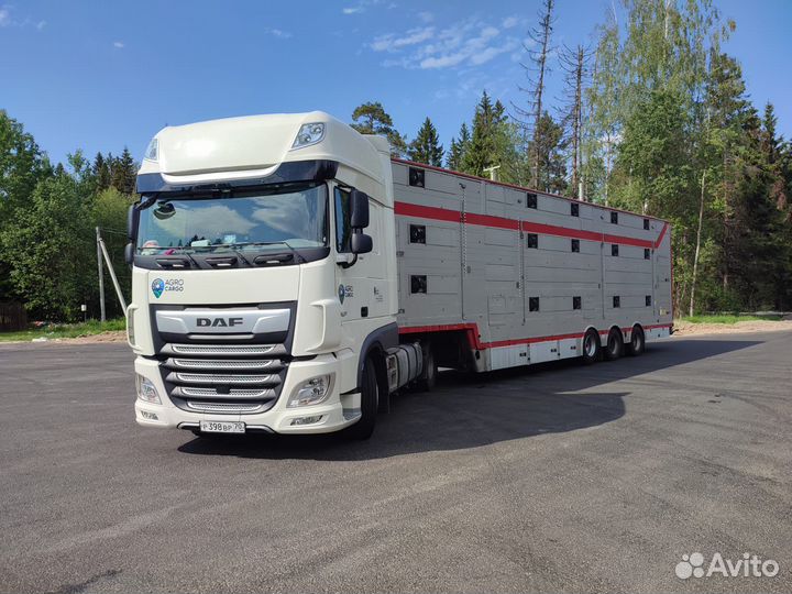 Водитель на скотовоз категория Е