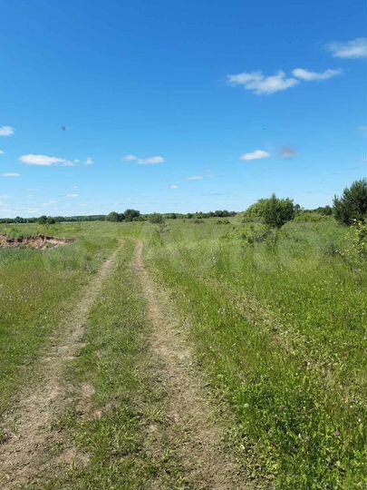 Участок 1,76 га (СНТ, ДНП)