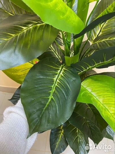 Диффенбахия Крупная цветок искусственный домой