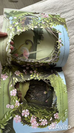 Книга A Walk throught the woods