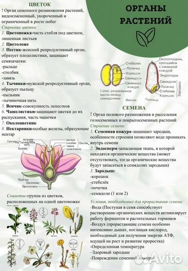 Репетитор по биологии (ЕГЭ, ОГЭ)