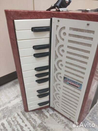 Аккордеон детский