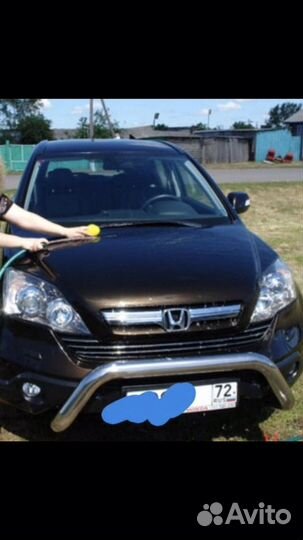 Кенгурятник