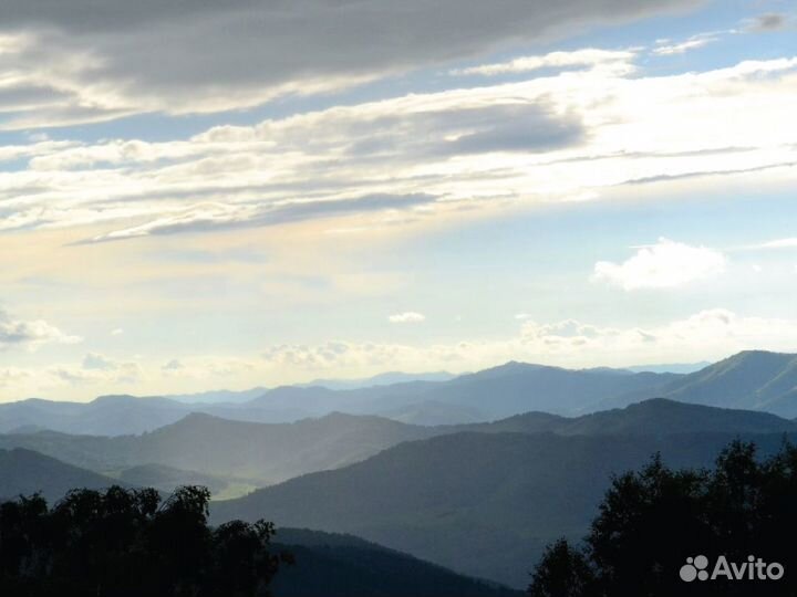 Авторский тур по Алтаю
