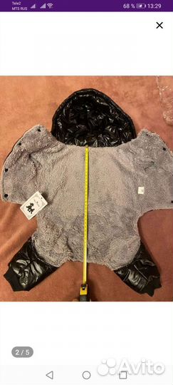 Одежда для собак