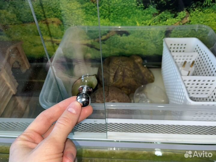Террариум для рептилий бу