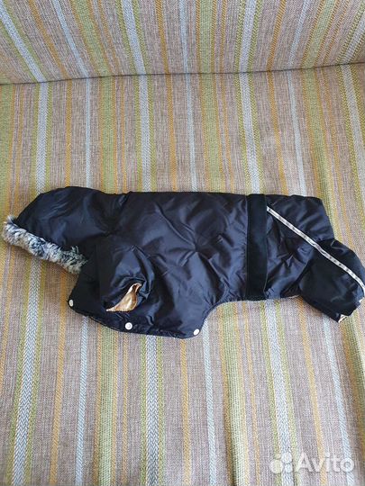 Комбинезон для маленькой собаки