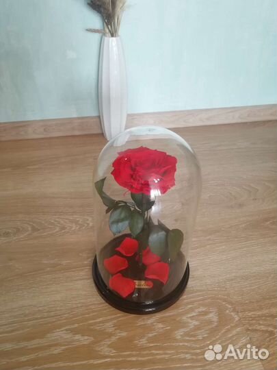 Вечная роза в колбе