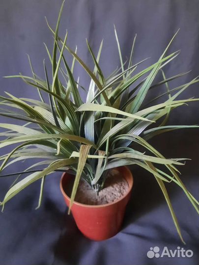 Искусственные цветы Икея