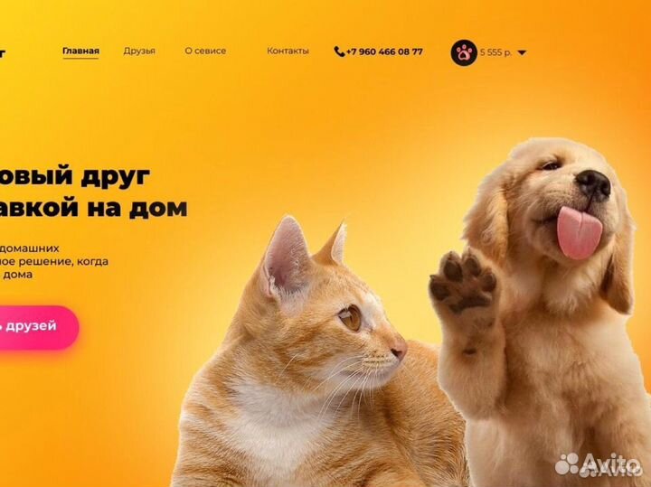 Дизайн сайтов