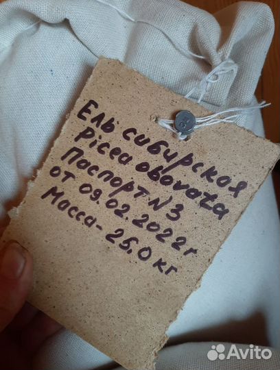 Семена ели на заказ