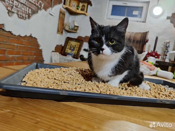 Наполнитель древесный