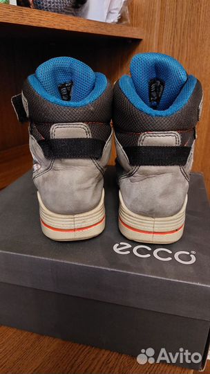 Ботинки ecco на мальчика