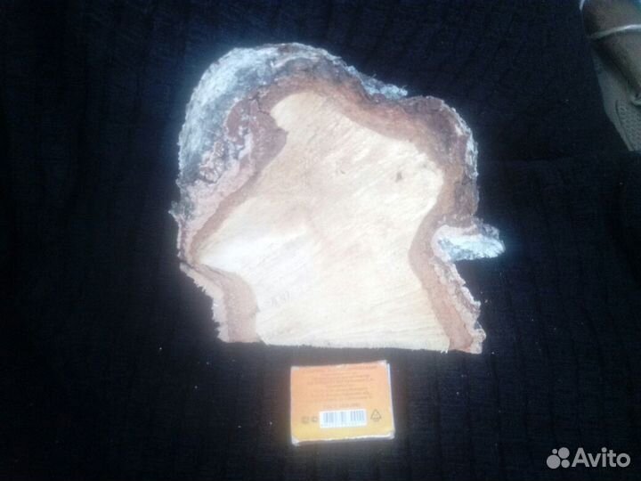 Кап березовый