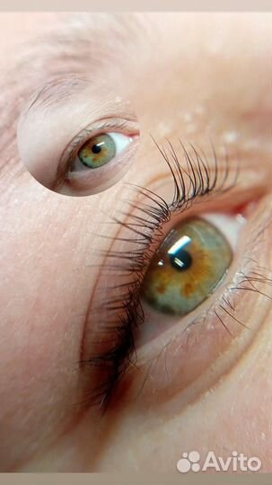 Ламинирование ресниц/бровей/Коррекция окрашивание