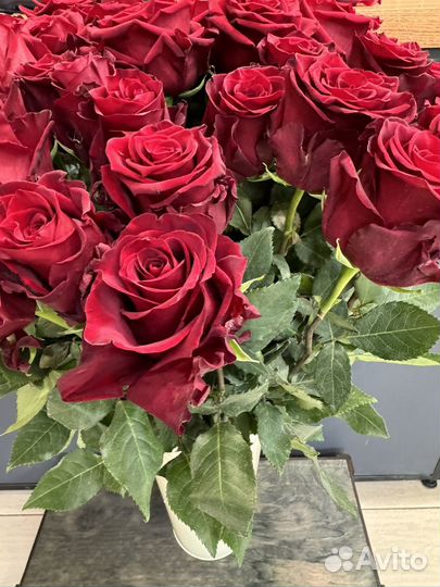 Роза красная Эквадор 70 см