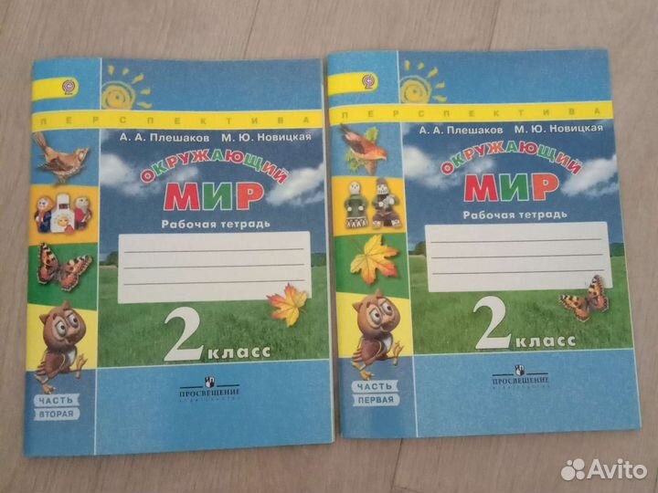 Рабочая тетрадь окружающий мир 2 класс