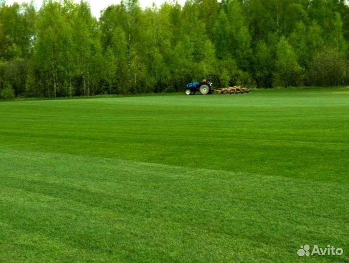 Рулонный газон