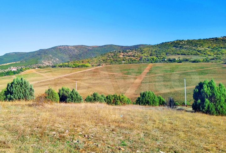 Участок 3,9 сот. (СНТ, ДНП)