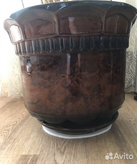 Пальма драцена с керамическим горшком