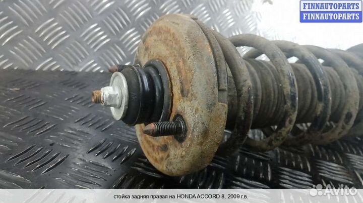 Амортизатор зад/право Honda Accord viii (CU), 2009 2.2 Дизель