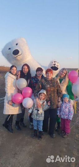 Белый мишка, Тедди. Ростовые куклы - поздравления