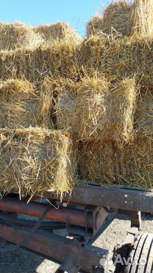 Сено люцерны и солома овсяная
