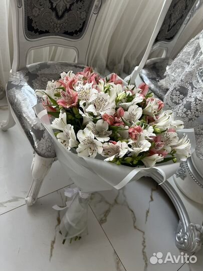 Альстромерия под срез и букеты