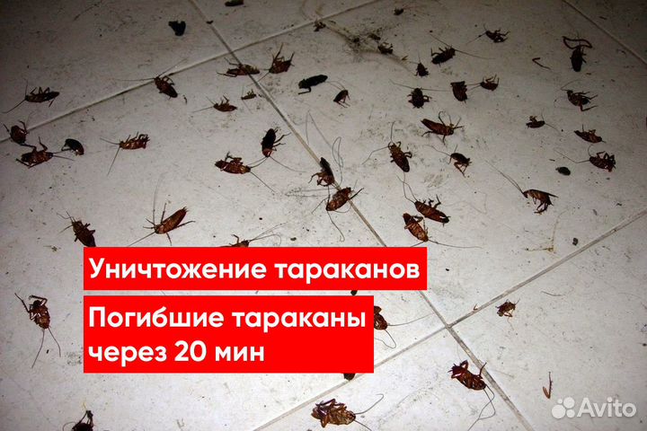 Уничтожение клопов, Уничтожение тараканов,Грызунов