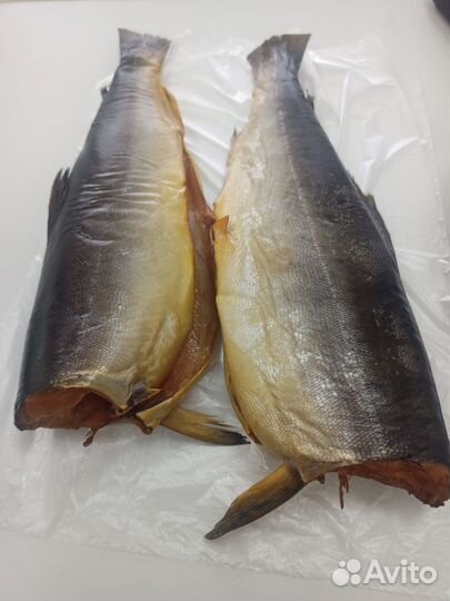 Мясо свинина