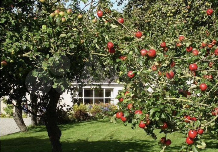 Участок 362 га (СНТ, ДНП)