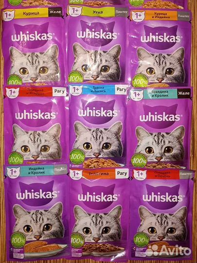 Влажный корм для кошек и собак