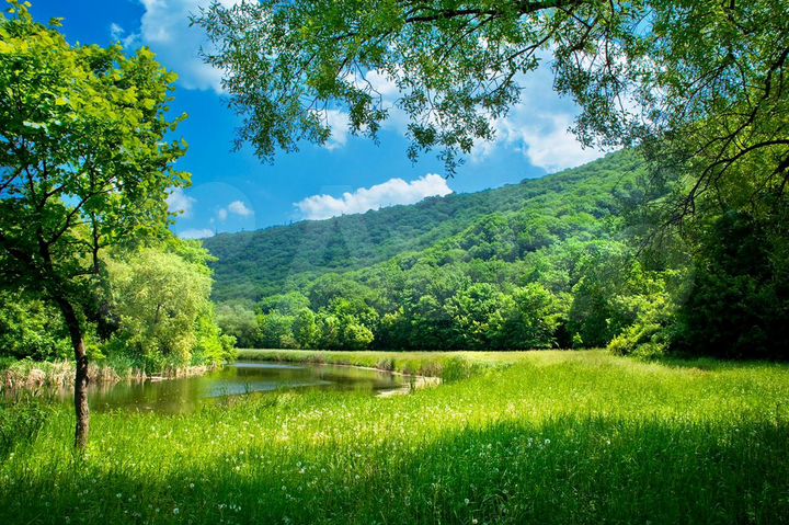 Участок 54 га (СНТ, ДНП)