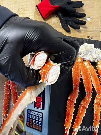 Клешни камчатского краба. Крупные