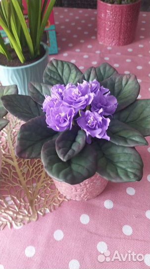 Фиалка из фоамирана