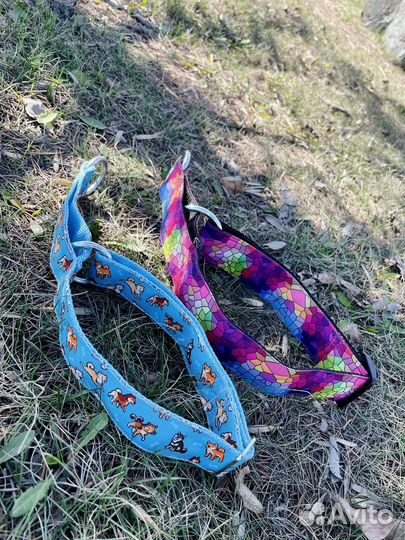 Ошейник для собак