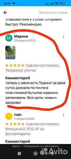 Улитки Теодоктус астраханикус