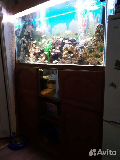 Аквариум