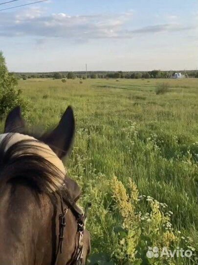 Постой для лошадей